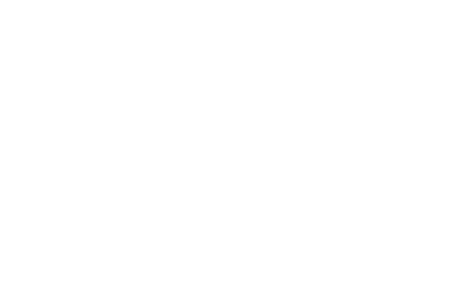 Premium Advisor